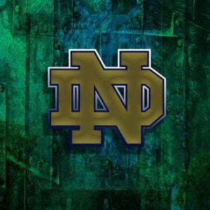 Meet your Posher, Jack blumberg